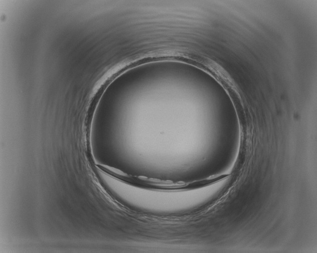 X0000084030789200703022121