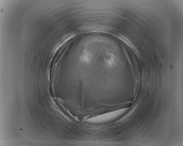 X0000084030790200703022121