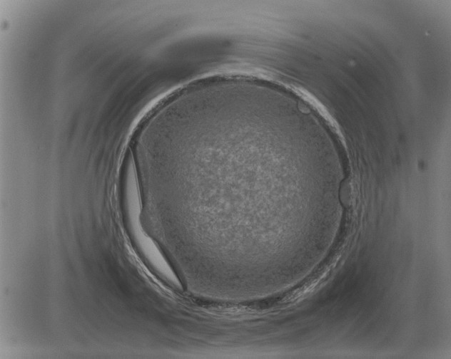 X0000084030791200703022121