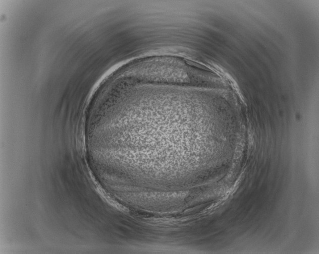 X0000084030792200703022121