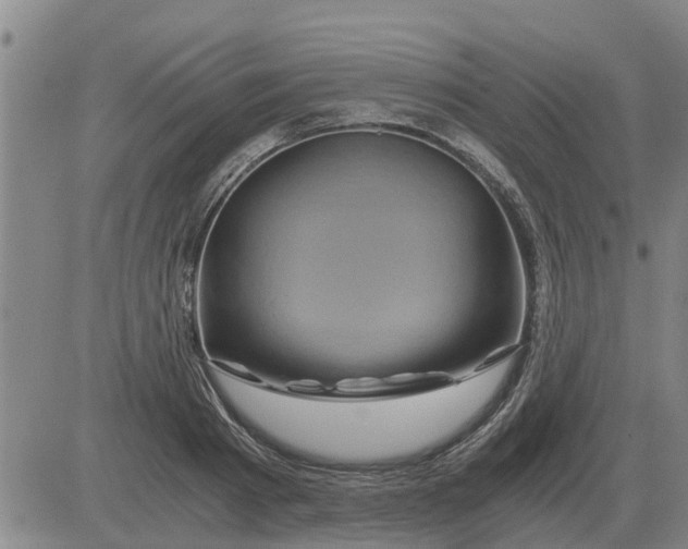 X0000084030793200703022121