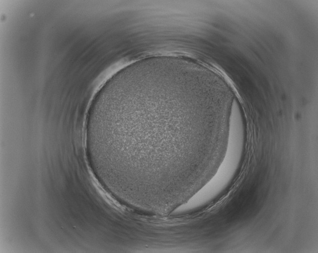 X0000084030795200703022121