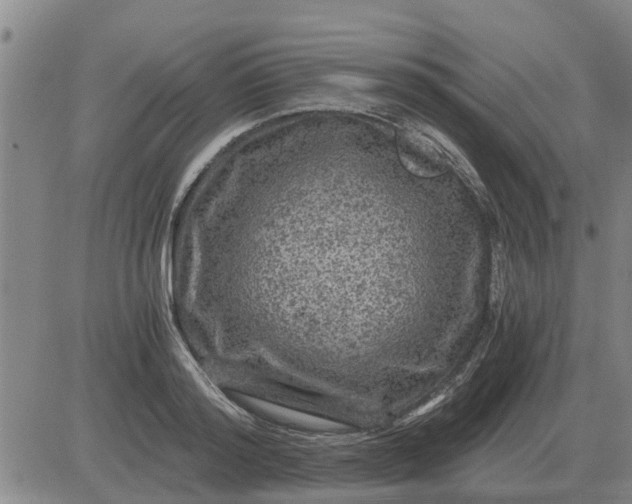 X0000084030796200703022121