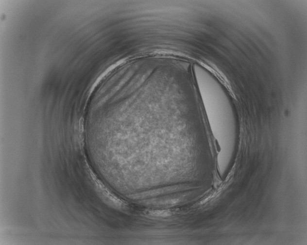 X0000084030798200703022121