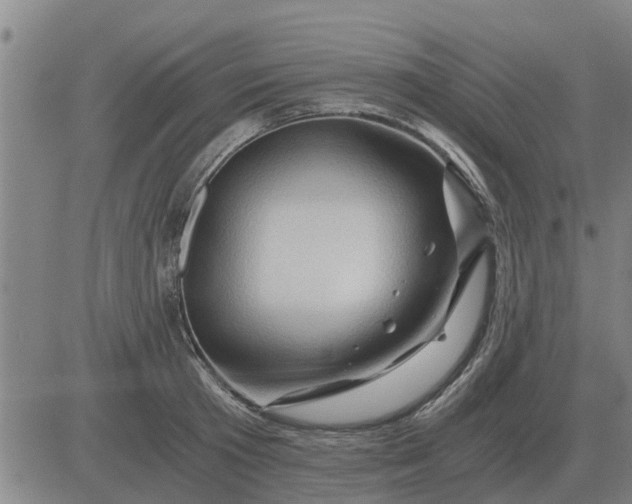 X0000084030801200703022121