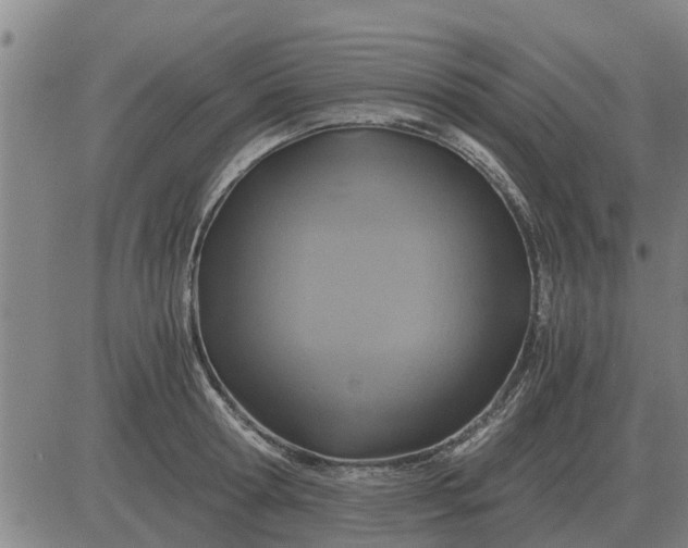 X0000084030802200703022121