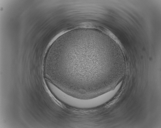 X0000084030803200703022121