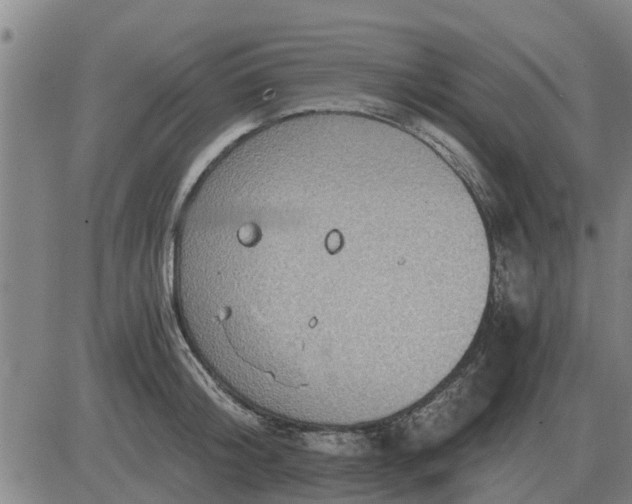 X0000084030804200703022121