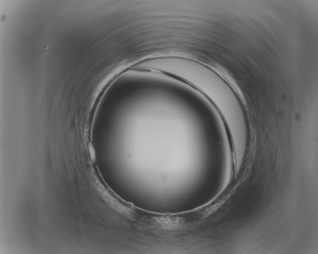 X0000084030805200703022121