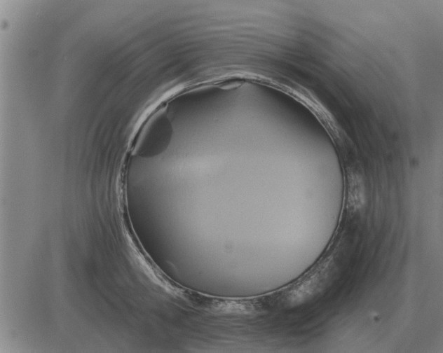 X0000084030806200703022121