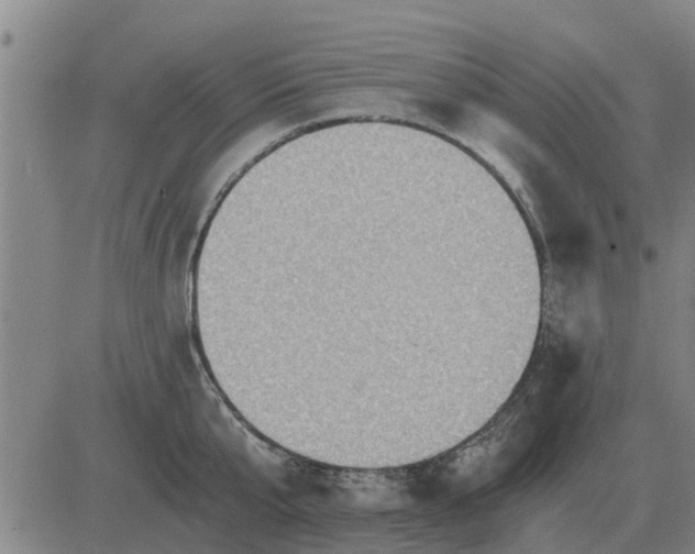 X0000084030807200703022121