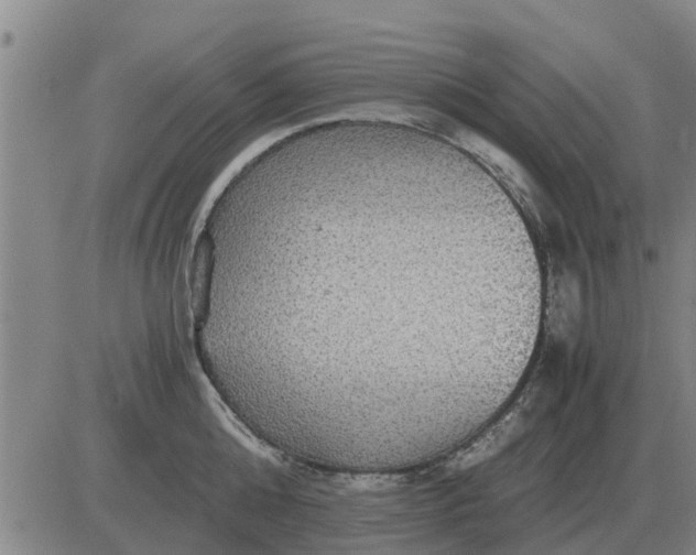 X0000084030808200703022121