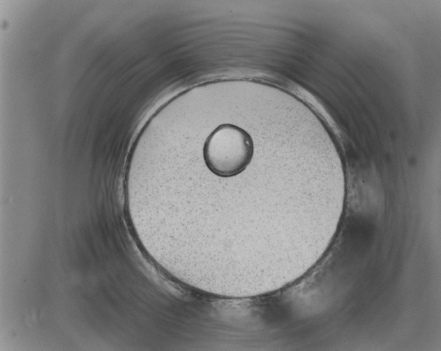 X0000084030810200703022121