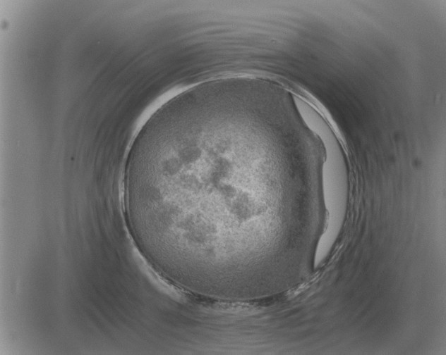 X0000084030811200703022121