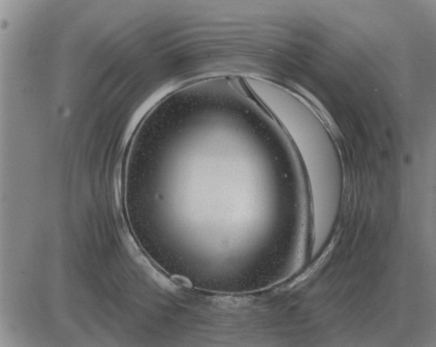 X0000084030812200703022121