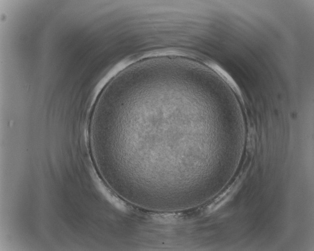 X0000084030813200703022121