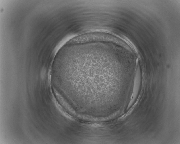 X0000084030814200703022121