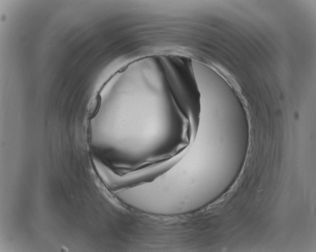 X0000084030816200703022121