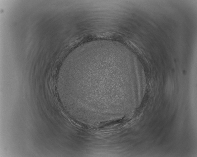 X0000084030817200703022120