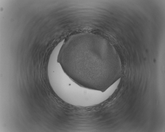 X0000084030818200703022120