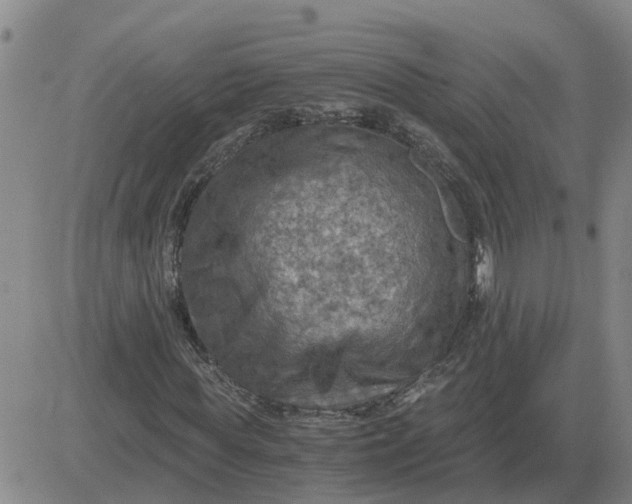 X0000084030819200703022120