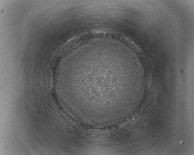 X0000084030821200703022120