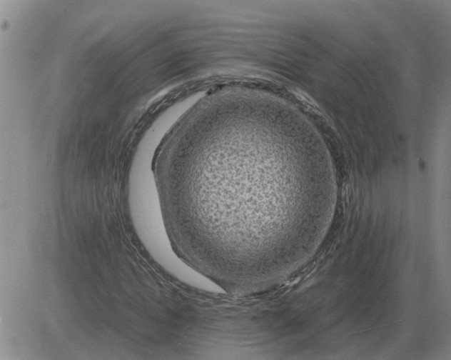 X0000084030822200703022120