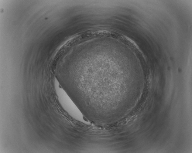 X0000084030823200703022120