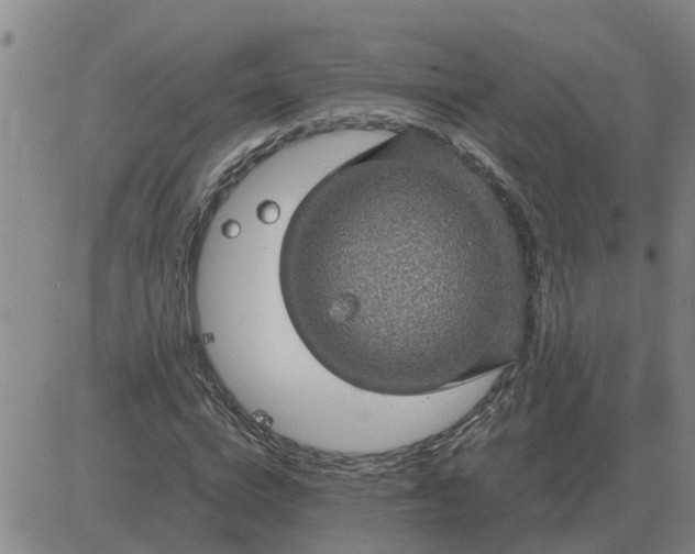 X0000084030824200703022120