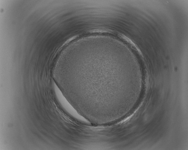 X0000084030825200703022120