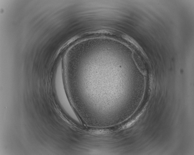 X0000084030826200703022120