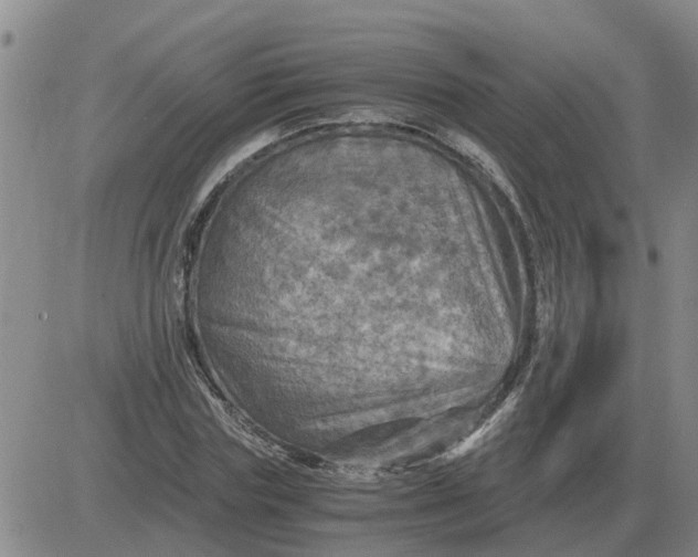 X0000084030827200703022120