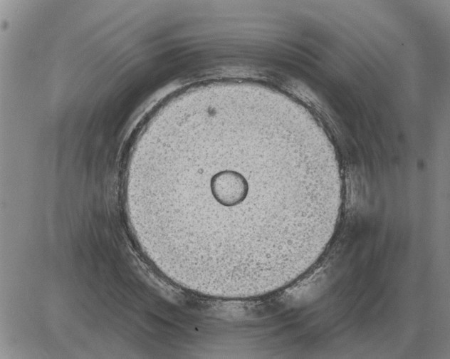 X0000084030828200703022120