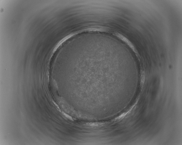 X0000084030829200703022120