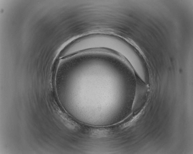 X0000084030830200703022120