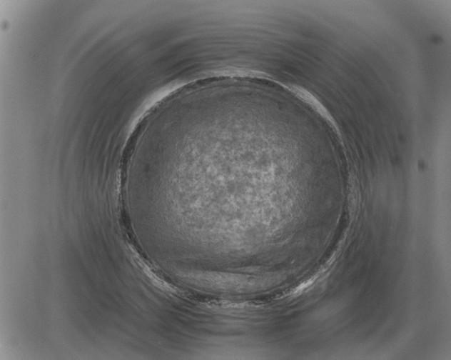 X0000084030831200703022120