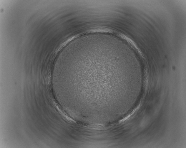 X0000084030833200703022120