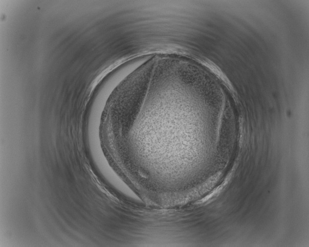 X0000084030834200703022120