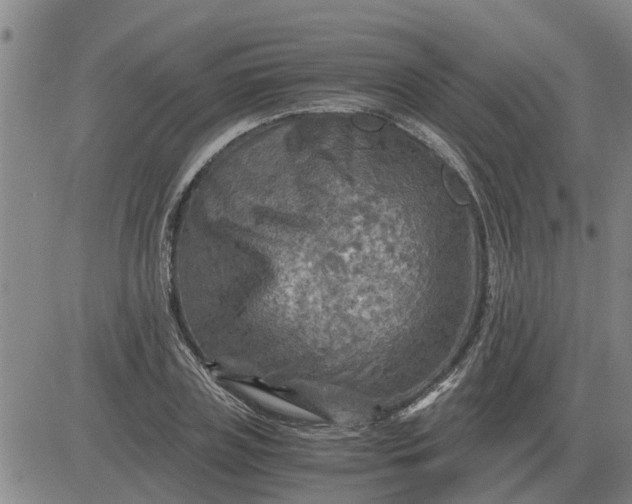 X0000084030835200703022120