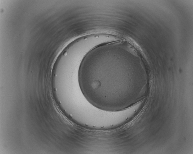 X0000084030836200703022120