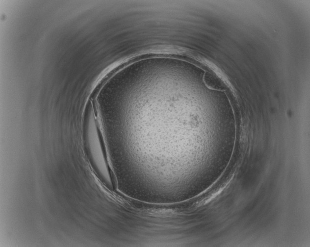 X0000084030837200703022120