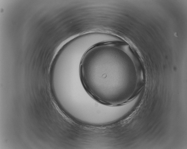 X0000084030838200703022120