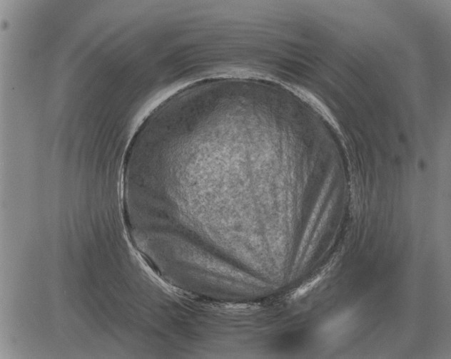 X0000084030839200703022120