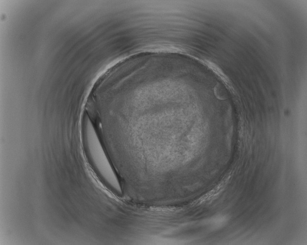 X0000084030840200703022120