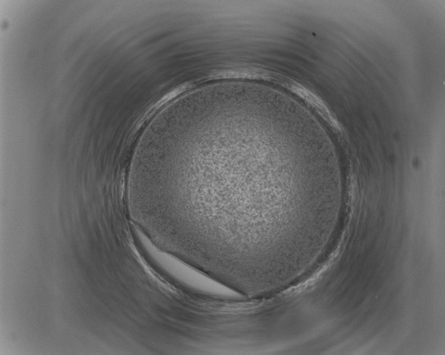 X0000084030841200703022120