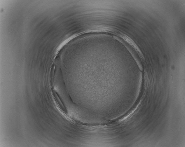 X0000084030842200703022120