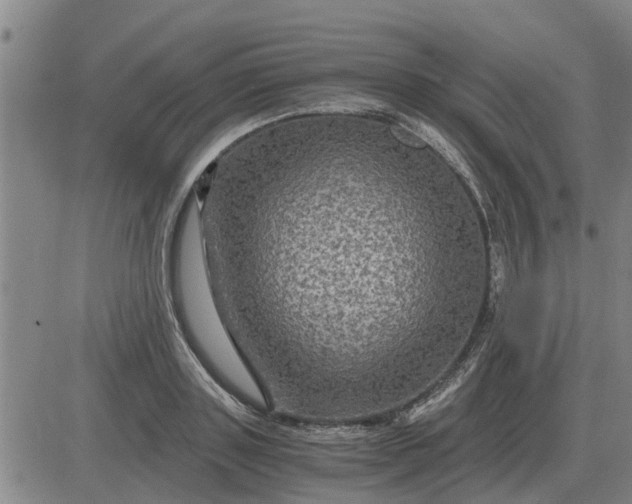 X0000084030843200703022120