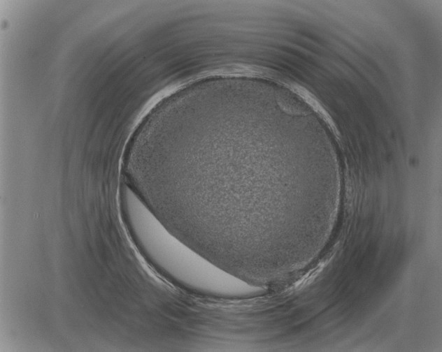 X0000084030845200703022120