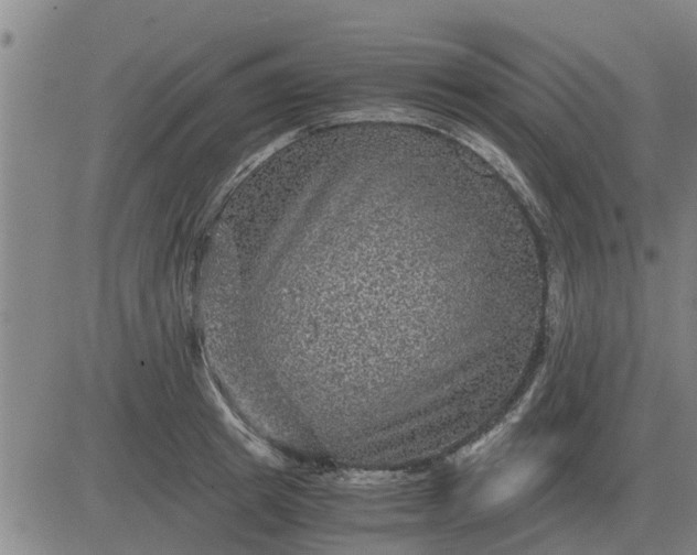 X0000084030849200703022121