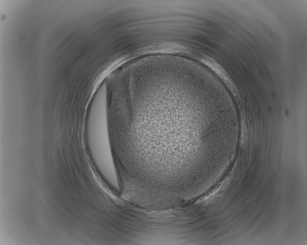 X0000084030850200703022121